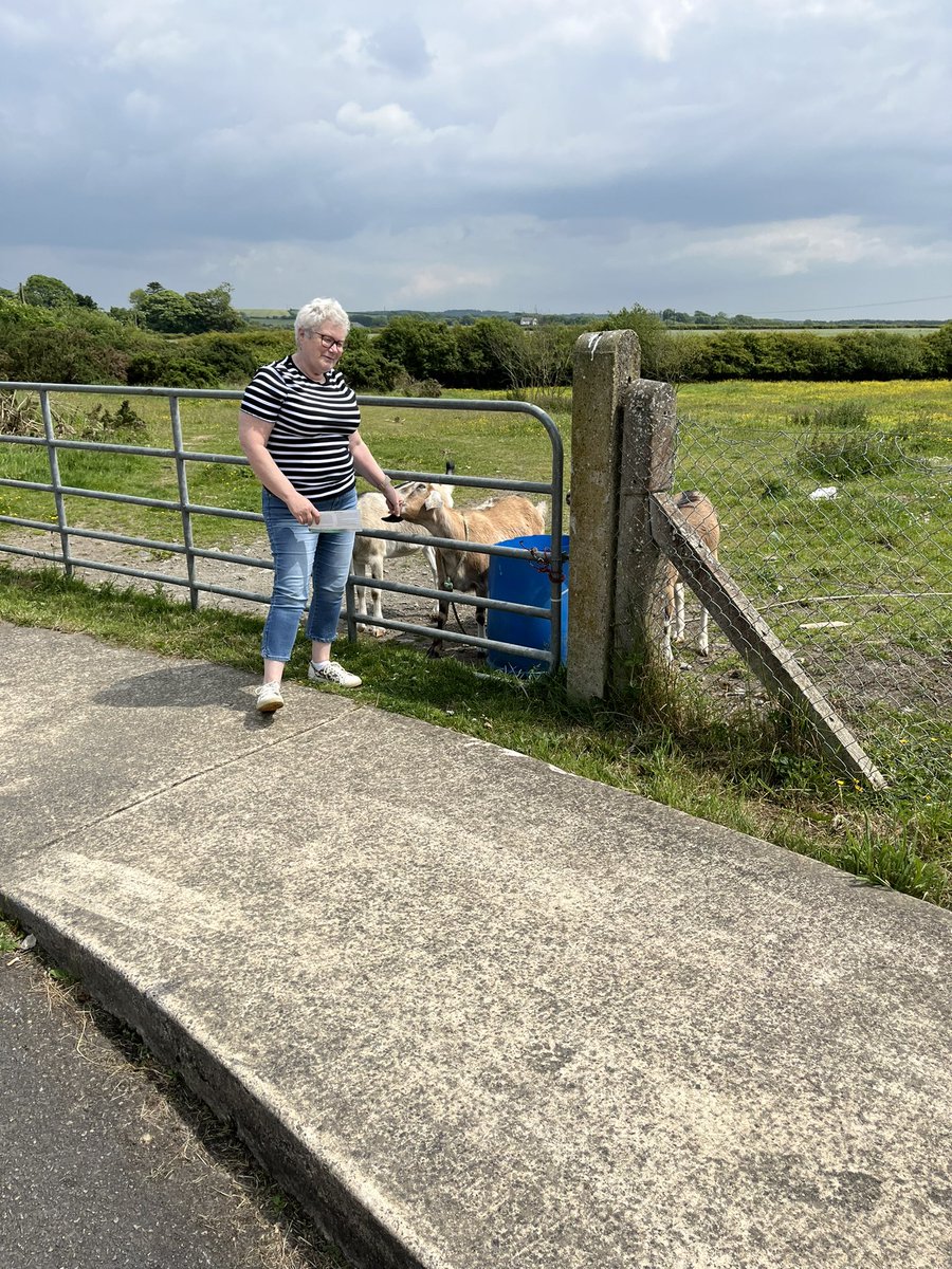 simboyse's tweet photo. When you turn your head for a second and find your chief canvasser acting the goat 🐐 

Getting close to the end, the girls canvassed the final few houses in Cul Caislean! 

Let Boyse Be Your Voice! https://t.co/UwCrzXwqPC