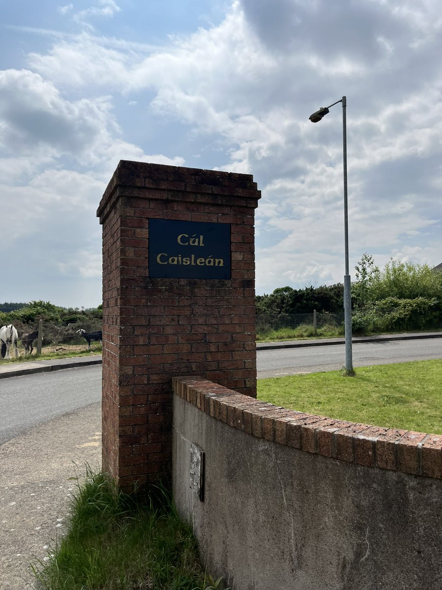 simboyse's tweet photo. When you turn your head for a second and find your chief canvasser acting the goat 🐐 

Getting close to the end, the girls canvassed the final few houses in Cul Caislean! 

Let Boyse Be Your Voice! https://t.co/UwCrzXwqPC