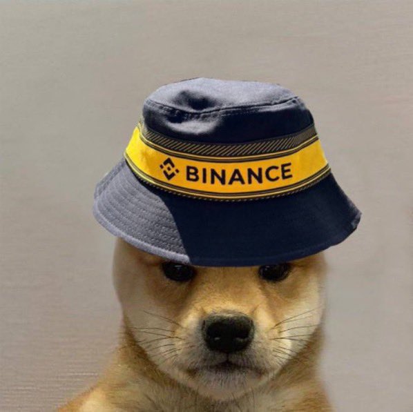 bscDogwifhat's tweet photo. Hat stays on. @bscdogwifhat https://t.co/GApUymw1Qm