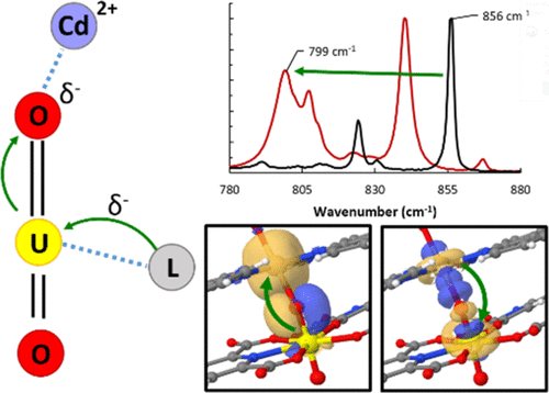 bhkenlo's tweet photo. A Spectroscopic and Computational Evaluation of Uranyl Oxo Engagement with Transition Metal Cations | Inorganic Chemistry https://t.co/C3TPvqMPHE Cahill and co-workers @InorgChem #uranium #cadmium #SOPT #Oxo #Raman #UO_symmetric_stretch #luminescence_quenching https://t.co/rifAAG74W6