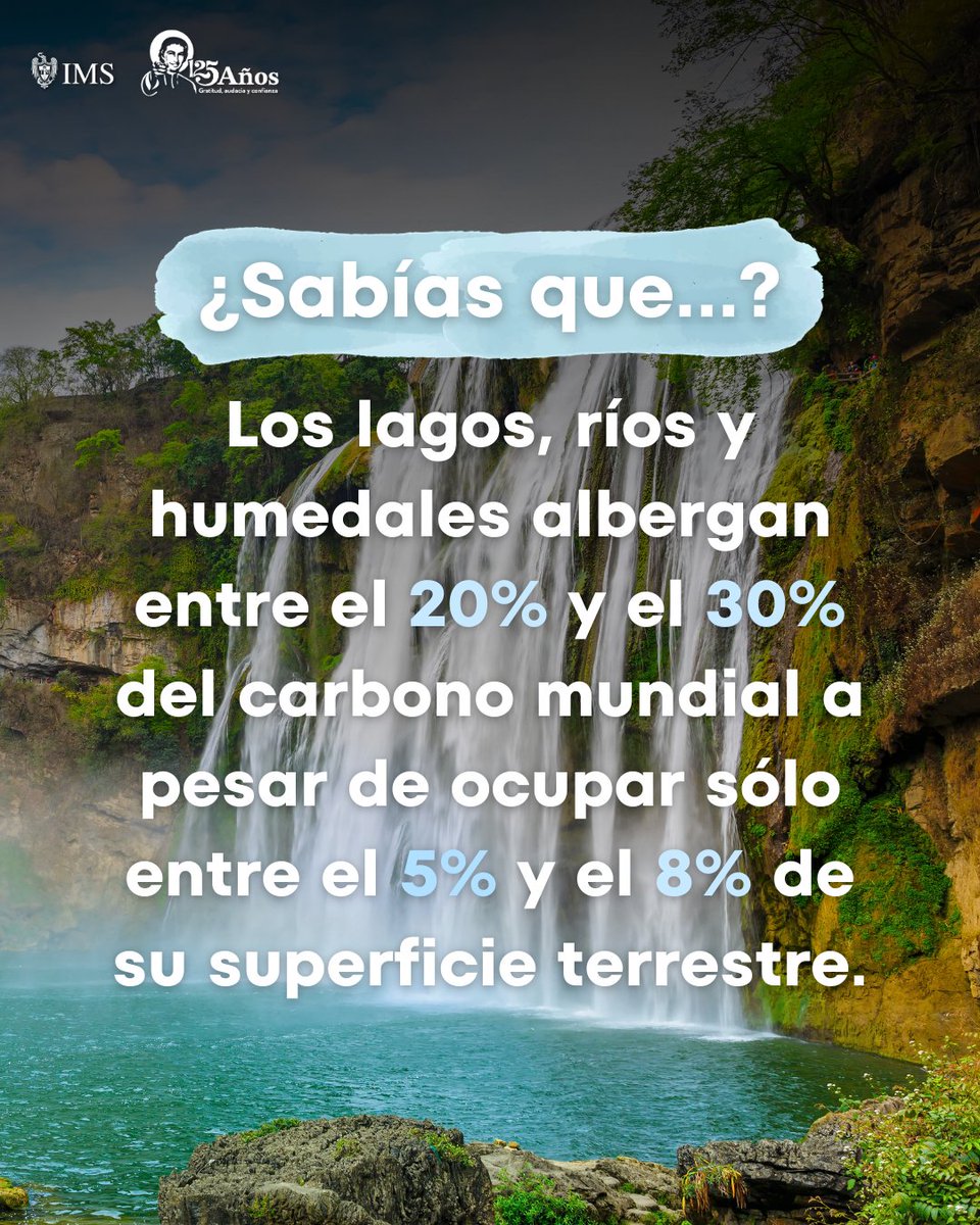 InstMexSec's tweet photo. 🌍✨ Celebremos el #DíaMundialDelMedioAmbiente🌿🌱.

Es muy importante el cuidado de los océanos, los ríos, lagos y humedales, porque desempeñan un papel importante en la lucha contra el cambio climático.

 #CuidadoDelPlaneta #Sostenibilidad https://t.co/cR87MgWN3l