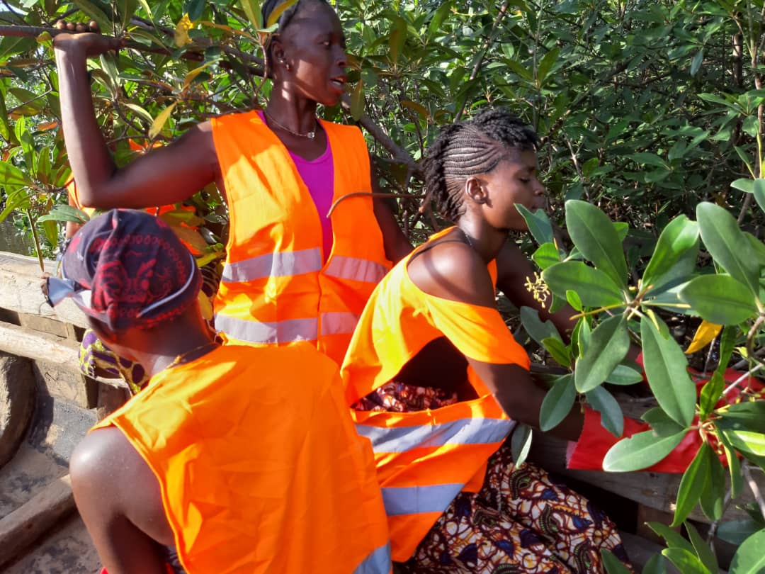 Cities Alliance tweet media