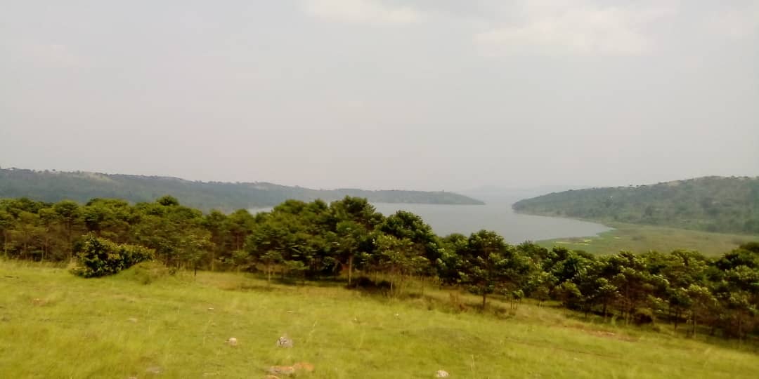 KiapiKFreddie76's tweet image. hello #UOX family this is also #heroesweekUG remember to celebrate your heroes. The #Kiapi fam says 4m #LandofGreenness -Buikwe District -stay safe, stay calm &amp;amp; keep vibes positive @KagutaMuseveni says #MartyrsDay2024 speech!  Its not Okay if U&apos;re not OKAY!