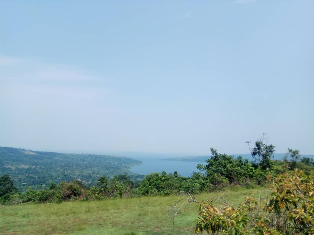 KiapiKFreddie76's tweet image. hello #UOX family this is also #heroesweekUG remember to celebrate your heroes. The #Kiapi fam says 4m #LandofGreenness -Buikwe District -stay safe, stay calm &amp;amp; keep vibes positive @KagutaMuseveni says #MartyrsDay2024 speech!  Its not Okay if U&apos;re not OKAY!