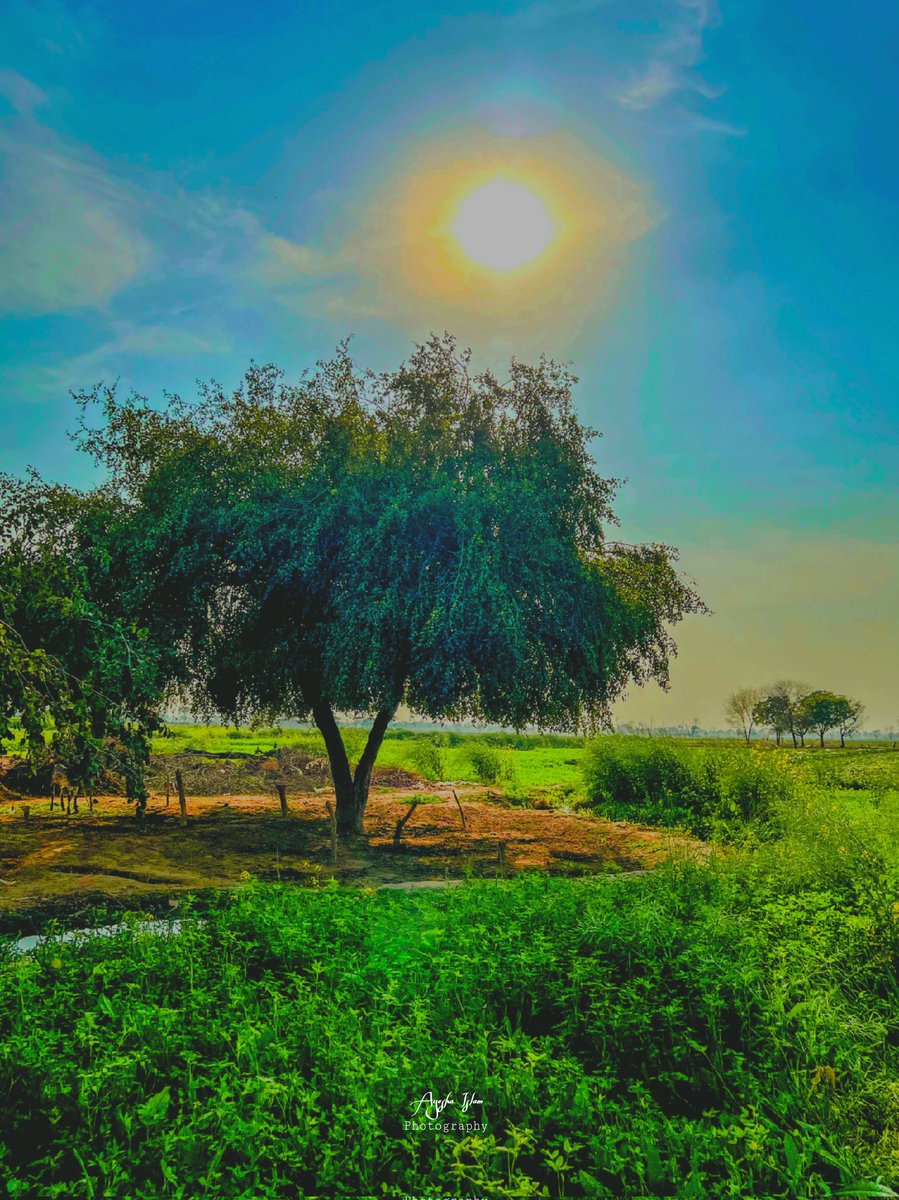 AchieverAyesha's tweet photo. #AyeshaIslamPhotography #WorldEnvironmentDay #EnvironmentalAdvocacy #EnvironmentalPhotography #NaturePhotography #Sustainability #PreserveOurPlanet #GreenZonePhilosophy #NatureLovers #ClimateAction #EcoFriendly #PreserveNature #PreserveEnvironment https://t.co/4w48PaboA6
