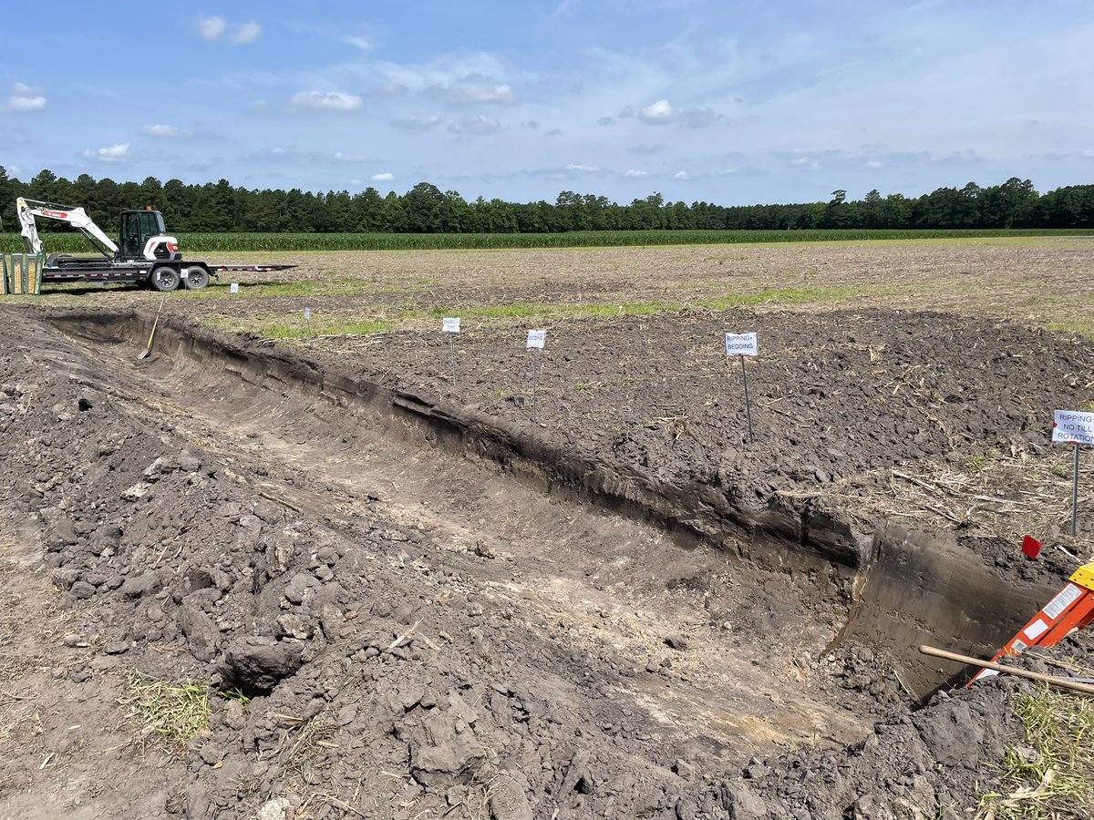 NCState_SM's tweet photo. Soil pit is ready for today’s agent training at Tidewater Research Station @CropAndSoil https://t.co/UFp14kBCfz