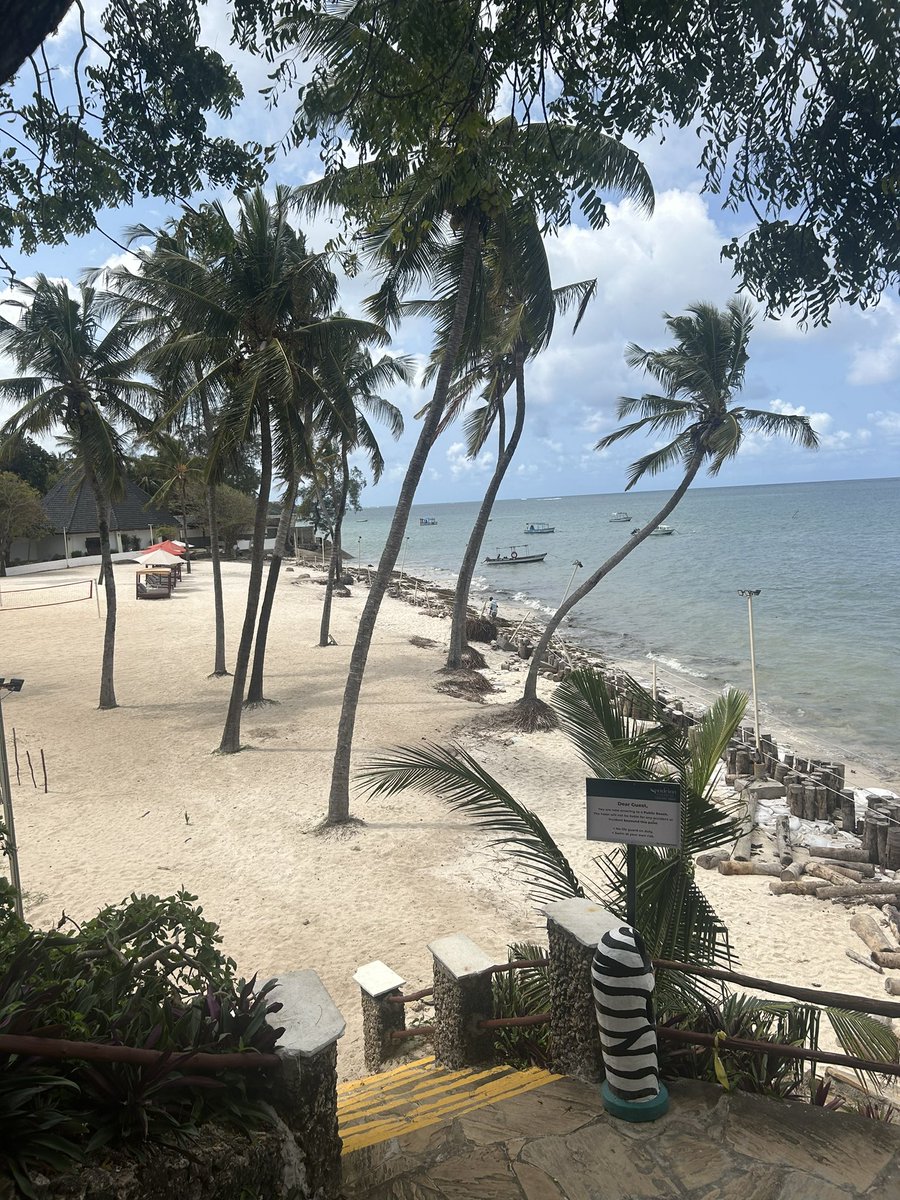 African mornings and evenings are spectacular.