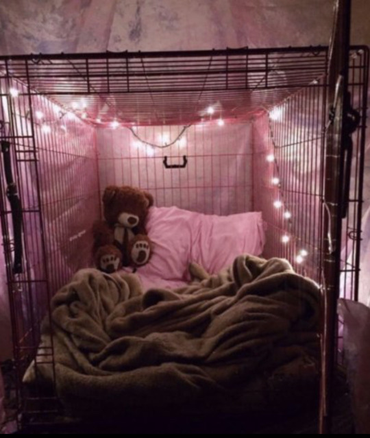 httpsfangs's tweet photo. if i had a gf i would make her a cage like this https://t.co/D85xQABNAI
