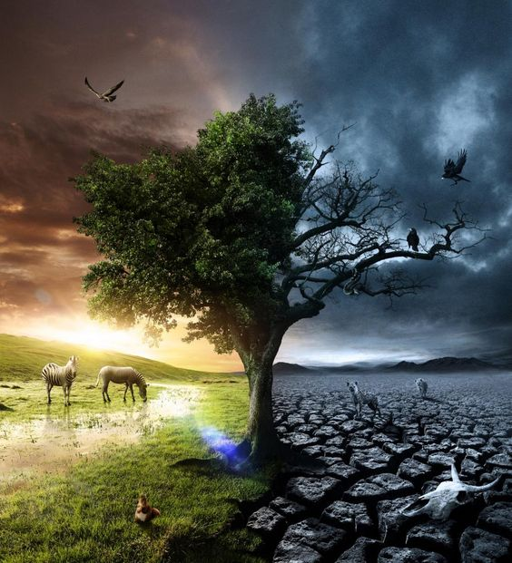 En estos tiempos de desafíos y cambios, recordemos que nuestra fuerza y esperanza deben estar fundamentadas en Dios. Como nación, si buscamos Su guía y colocamos nuestros valores y decisiones en Sus manos, encontraremos la paz y la prosperidad que anhelamos.