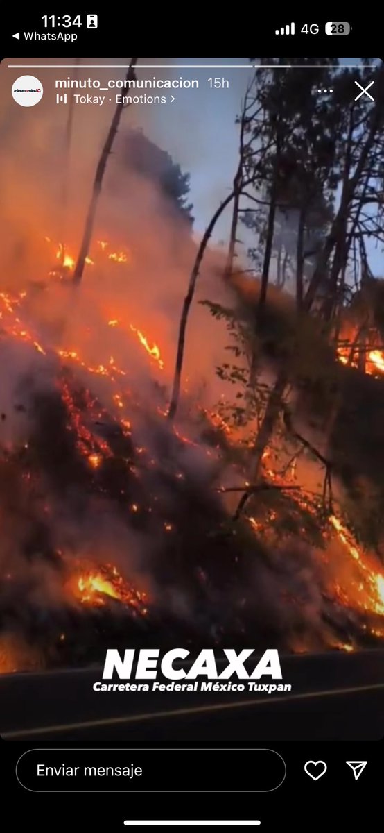 anasalas07's tweet photo. @AmbienteGobPue Triste conmemorad un día así con muchos incendios sin control 😞😞😞 Necaxa, Puebla necesita de su apoyo y solidaridad, el fuego se ve a kilómetros y en los pueblos de alrededor se respira humo https://t.co/1PTbQ1v588