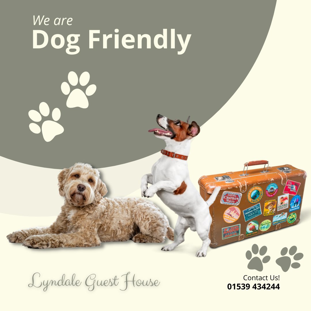 Make memories with your four-legged friend at our dog-friendly guest house in Ambleside. Dogs stay for free! 

lyndale-guesthouse.co.uk