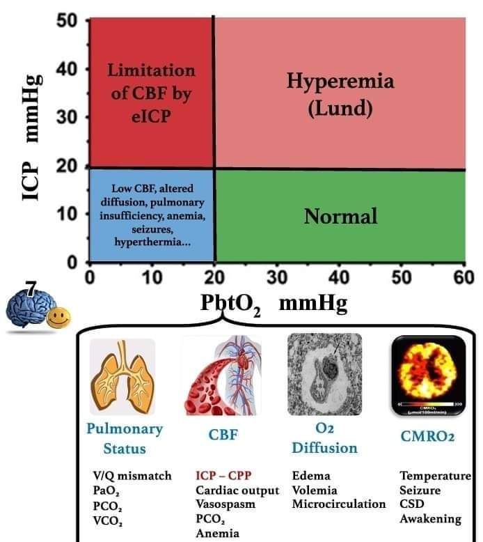 LeslieMegom's tweet photo. ➡️Manejo de Neurotrauma🧠🩸 y Presión Intracraneal💥💥💥💥
NEUROPROTECCIÓN: MANTENER EL CEREBRO FELIZ 😊
🟣El manejo de un cerebro lesionado 🩸🧠debe centrarse en mantener la homeostasis normal.
💥7 elementos del concepto de "cerebro feliz": 
1️⃣EUtermia.
2️⃣EUglucemia. 
👇 https://t.co/XgaEUREsFB