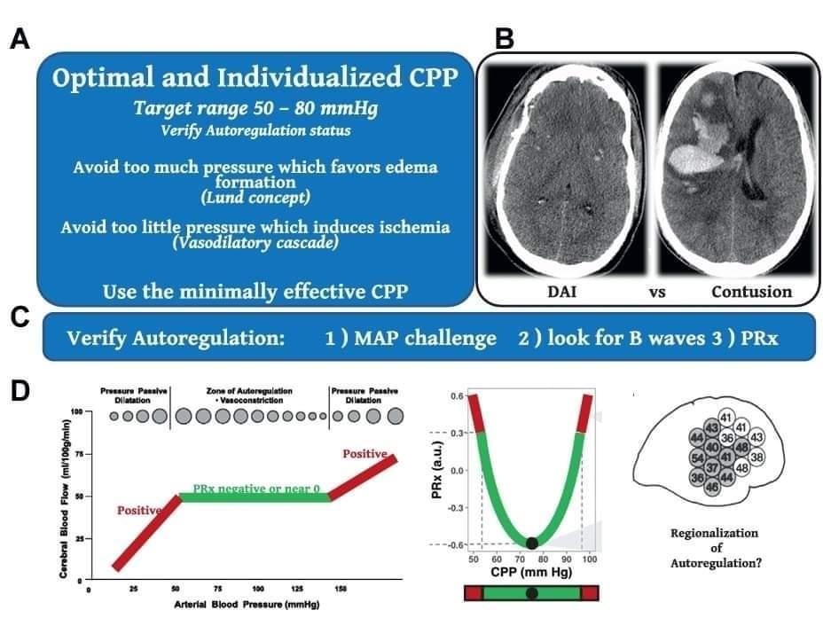 LeslieMegom's tweet photo. ➡️Manejo de Neurotrauma🧠🩸 y Presión Intracraneal💥💥💥💥
NEUROPROTECCIÓN: MANTENER EL CEREBRO FELIZ 😊
🟣El manejo de un cerebro lesionado 🩸🧠debe centrarse en mantener la homeostasis normal.
💥7 elementos del concepto de "cerebro feliz": 
1️⃣EUtermia.
2️⃣EUglucemia. 
👇 https://t.co/XgaEUREsFB