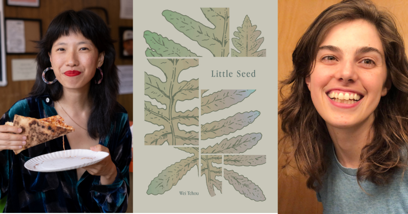 Tomorrow at 7p @PorterSqBooks in Boston, I'll be chatting about LITTLE SEED with my best friend Emma Hunsinger, whose first graphic novel HOW IT ENDS is out soon: harpercollins.com/products/how-i… Come to hear us gab about debut books, debut babies (!!), and TEN YEARS (!!) of friendship