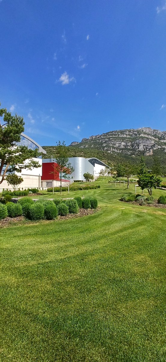 Mi_Vino's tweet photo. #Macán, la bodega de @TVegaSicilia en @RiojaWine_ES, cumple 15 años. Un bonito aniversario para celebrar la consolidación de un proyecto centrado en la viña y en la gestión de la diversidad riojana. Felicidades!🥳🎂🍇 https://t.co/euvlAAmKvm