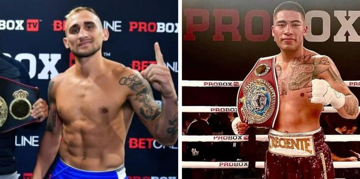 FerSabatiniBox's tweet image. 🚨Me informan que el argentino Alberto @Beto_Palmetta (19-2-0, 13KOs)🇦🇷 enfrentará al mexicano Jesús Saracho (13-2-1, 11 KOs)🇲🇽 el 24 de julio en Plant City, Florida🇺🇸 

📸 @ProBoxTvEspanol 
#PalmettaSaracho #ProBox