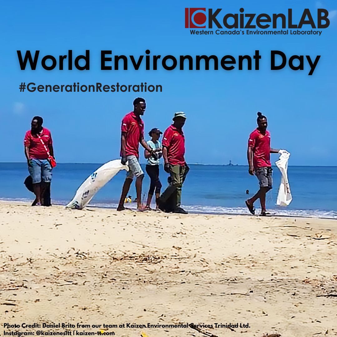 kaizenlabinc's tweet photo. Today marks World Environment Day, a perfect opportunity to express our affection for our environment and pave the way for a brighter future for generations to come. #GenerationRestoration #EnvironmentalLAB #WorldEnvironmentDay
*Shoutout to Daniel Brito from @kaizenesltt https://t.co/c5XXPz0OX2