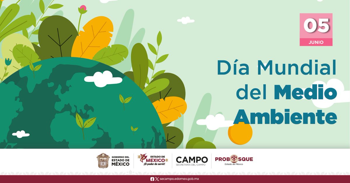 Probosque_'s tweet photo. En #Probosque nos sumamos a la conmemoración por el #DíaMundialDelMedioAmbiente, por ello, refrendamos nuestro compromiso para consolidar un #ManejoIntegral de los bosques, con acciones de protección y preservación.

Unámonos para hacer la diferencia y cuidar nuestro planeta. https://t.co/pw5aoOnSU8