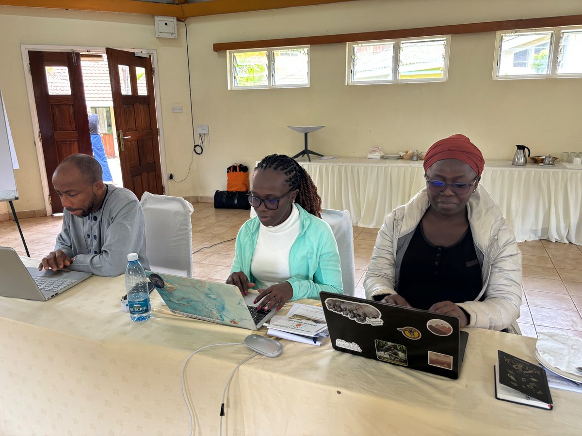 Impressions from #Day 3️⃣of the ongoing #MappingAncientAfrica #MAA #Nairobi🇰🇪 #Writing Workshop! funded by <a href="/Habcom_Inqua/">HABCOM INQUA</a> <a href="/PALCOM_INQUA/">PALCOM</a> <a href="/INQUA/">INQUA</a> w/ <a href="/rkinyanji/">Rahab Kinyanjui</a> <a href="/bruklemma/">Bruk Lemma Debebe</a> <a href="/drakpollen/">Trevor Hill</a> Lots of #ECR working hard on their manuscripts for our #MAA Special Issue! <a href="/palaeolim/">William Gosling</a> <a href="/Afropollen/">Jemma Finch</a>