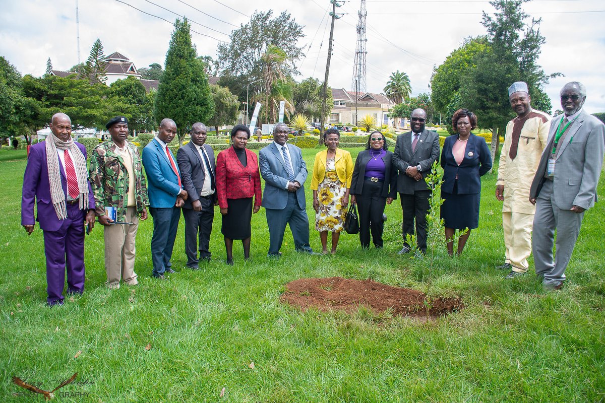 Happy #WorldEnvironmentDay‌ !
Our message is simple: Taking care of the environment
#GenerationRestoration
#WorldEnvironmentDay‌ 
#climatechange