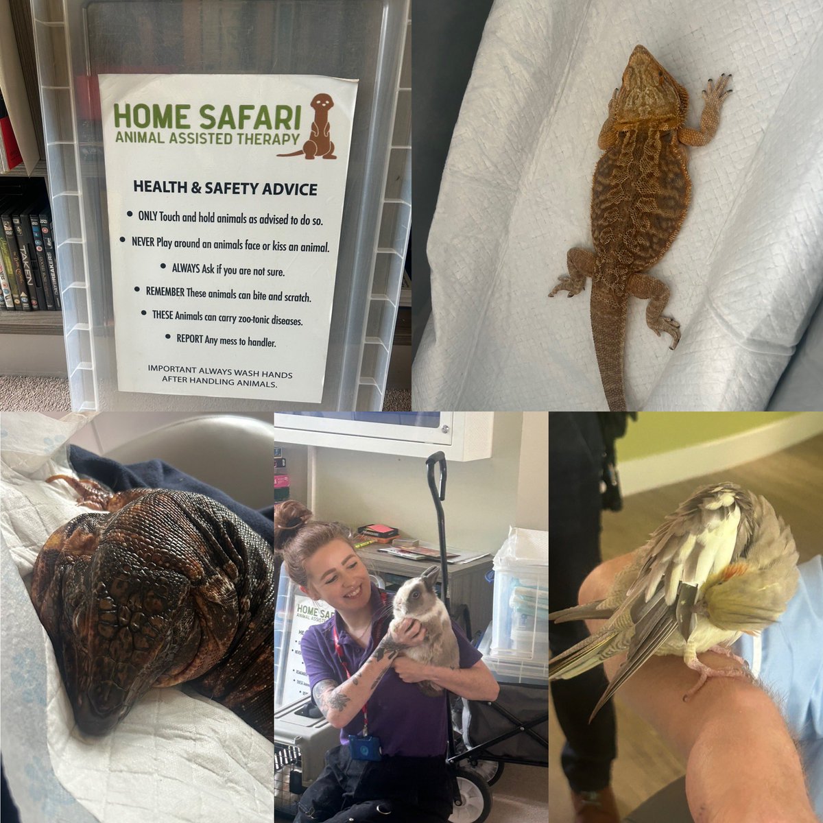 Amylowry💙 tweet media