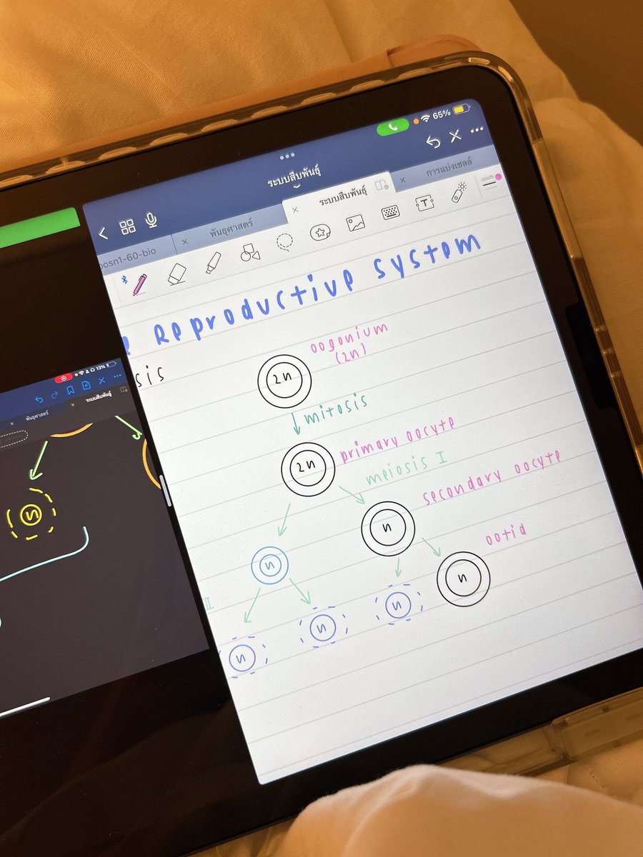 studyyscn's tweet image. 2-5 june 🍨💬🐈

ใกล้จะจบการเลือกตั้งประธานกีฬาสีแร้ะ ซุ่มเรียนอยู่ แต่ไม่ได้ลงเลย เรียนชีวะฉ่ำ อังกฤษฉ่ำ จะมา ๆ หาย ๆ สุดด พยายามบูสไฟตัวเองอยู่ด้วย กีฬาสีกินพลังฉันเกิน k4 🫸🏻😢😢😢 คิดถุง♥️♥️