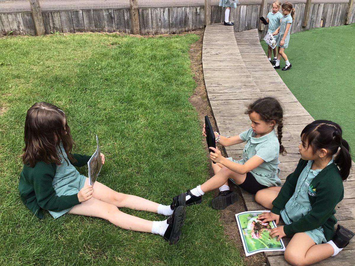 GRPAPlane's tweet photo. Plane Class have been making nature reports about the lifecycle of a frog. They had great fun. https://t.co/m1TFaRfrMJ