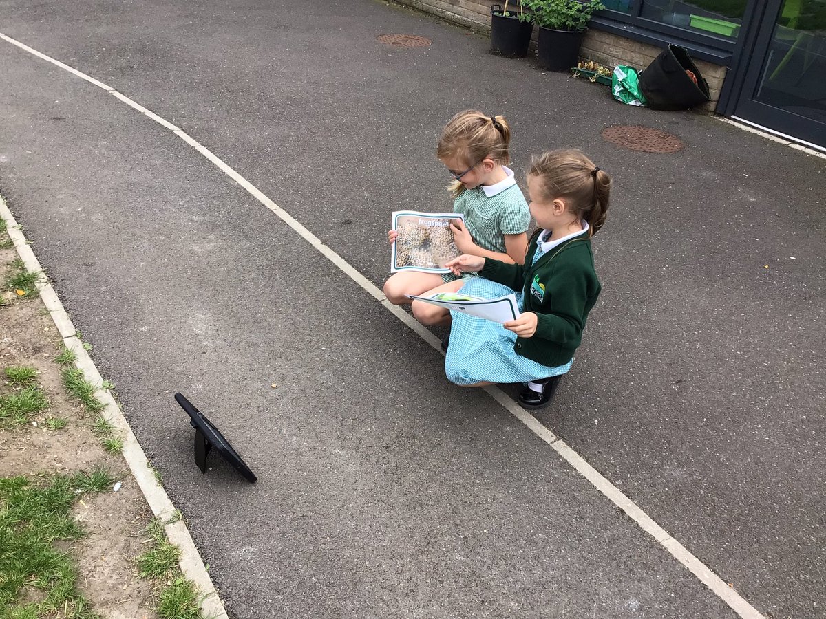 GRPAPlane's tweet photo. Plane Class have been making nature reports about the lifecycle of a frog. They had great fun. https://t.co/m1TFaRfrMJ