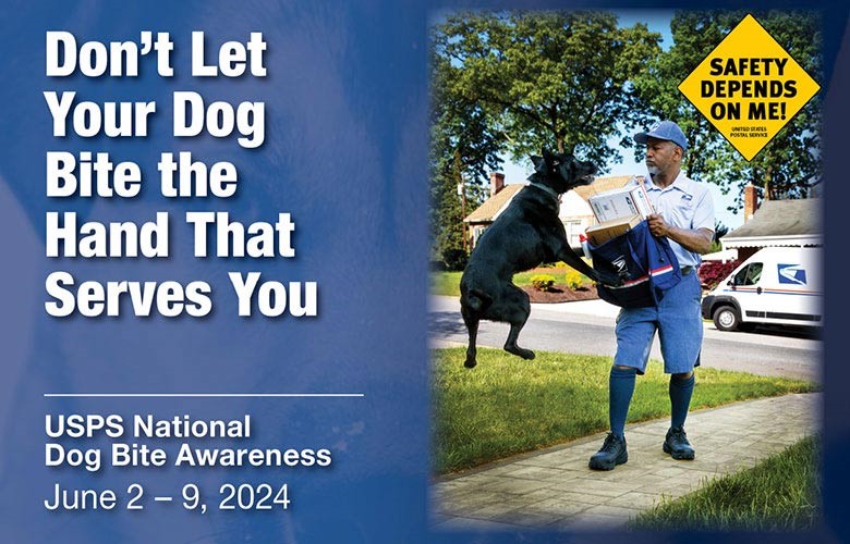serpefirm's tweet photo. Attacked by someone else's dog in Virginia? Contact the Law Offices of Richard J. Serpe, PC for a free consultation 757-233-0009. https://t.co/FsN2ZltoL5