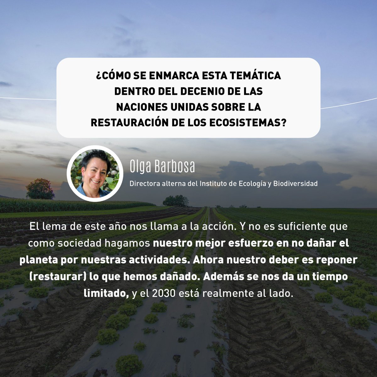 CodeXverde's tweet photo. 🌍🙌🏼En contexto del #DíaMundialdelMedioAmbiente, Olga Barbosa, directora alterna del Instituto de Ecología y Biodiversidad (IEB), nos comparte su conocimiento para ayudarnos a comprender mejor sobre el lema 2024.
#restauracióndesuelos #Chile #IEB #Codexverde https://t.co/PHAwWkYOlI