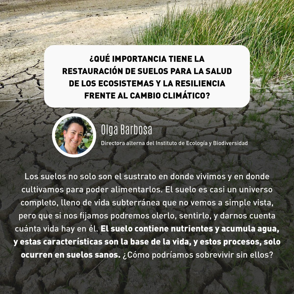CodeXverde's tweet photo. 🌍🙌🏼En contexto del #DíaMundialdelMedioAmbiente, Olga Barbosa, directora alterna del Instituto de Ecología y Biodiversidad (IEB), nos comparte su conocimiento para ayudarnos a comprender mejor sobre el lema 2024.
#restauracióndesuelos #Chile #IEB #Codexverde https://t.co/PHAwWkYOlI