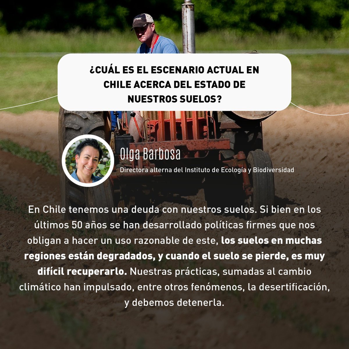 CodeXverde's tweet photo. 🌍🙌🏼En contexto del #DíaMundialdelMedioAmbiente, Olga Barbosa, directora alterna del Instituto de Ecología y Biodiversidad (IEB), nos comparte su conocimiento para ayudarnos a comprender mejor sobre el lema 2024.
#restauracióndesuelos #Chile #IEB #Codexverde https://t.co/PHAwWkYOlI