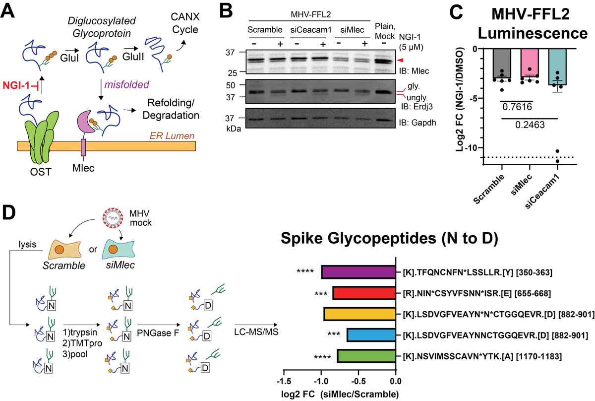 Plate Lab tweet media