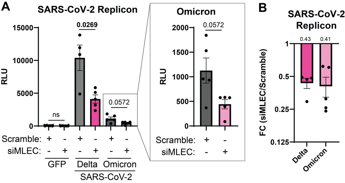 Plate Lab tweet media