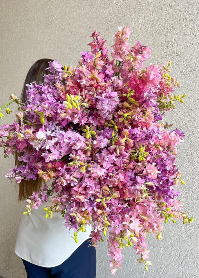 DVFlora tweet media