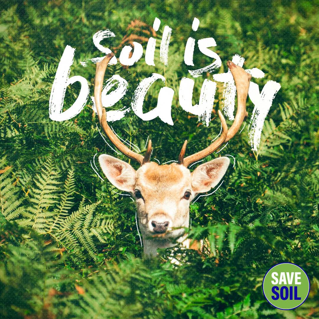 Savitha70267981's tweet image. &quot;Soil being alive is the most important thing because the strength of the soil determines the strength of every life.&quot; -Sadhguru 

On World Environment Day, let&apos;s pledge to restore our lands and secure our future. Visit savesoil.org #SaveSoil4Future