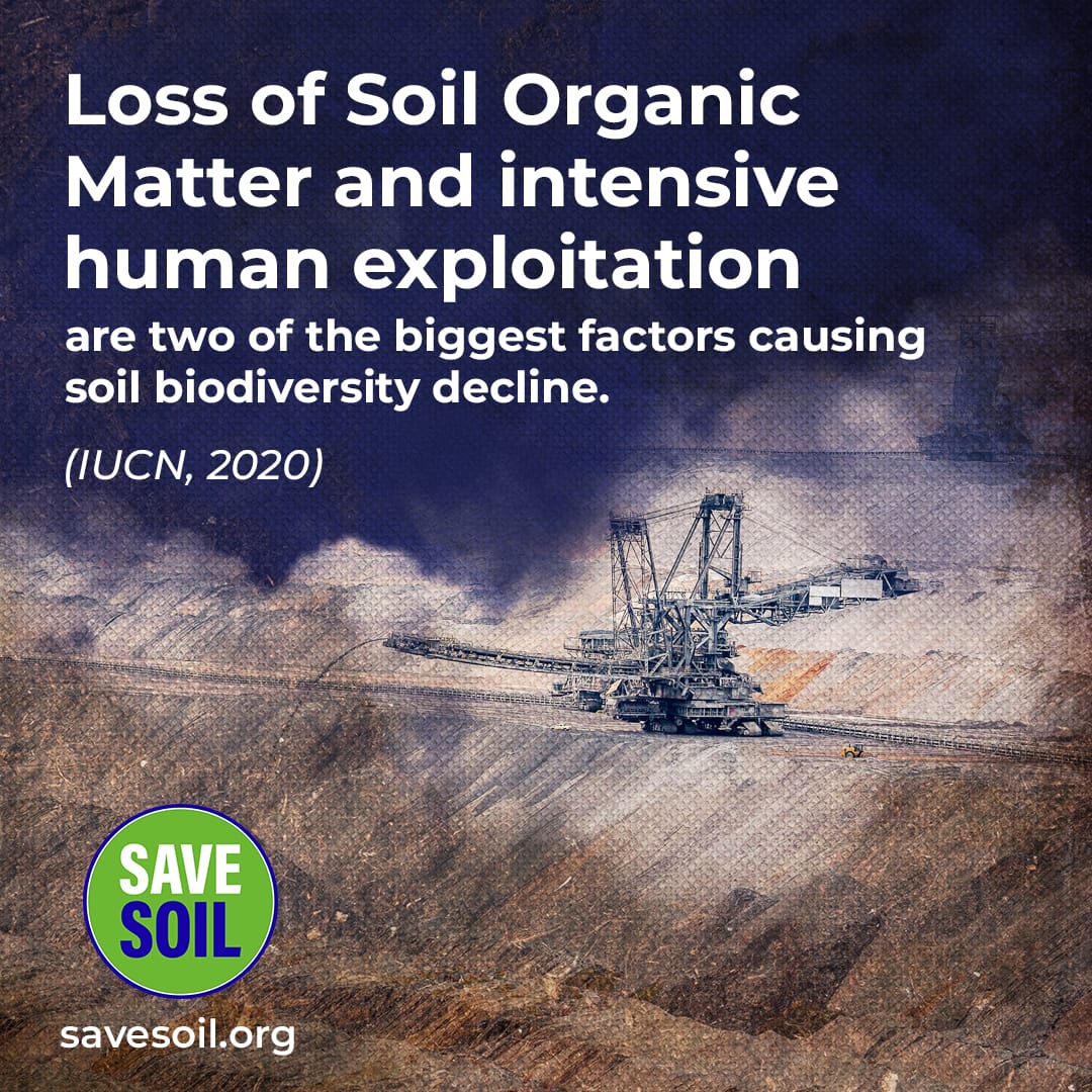 For healthy Soil there must be minimum 03 to 06 percent organic matter in it. But, in almost all nations in the world have less than 03 percent organic matter in soil which is concerning. #SaveSoil4Future 
#SaveSoil <a href="/UNCCD/">UN Land and Drought</a> <a href="/narendramodi/">Narendra Modi</a>