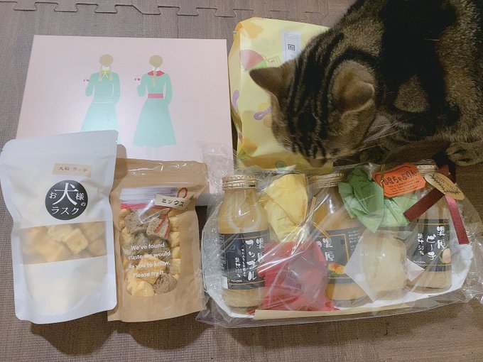 無事に初日をむかえる事ができました✨ 観に来て下さった皆様、ありがとうございます😊 明日も頑張ります‼️  プレゼントもありがとうございました😭  #劇団FREESIZE #WaitingRoom  チケット&darr;&darr; https://t<a href="/tag/%E5%8A%87%E5%9B%A3freesize"class="tags">#劇団FREESIZE</a><a href="/tag/waitingroom"class="tags">#WaitingRoom</a>