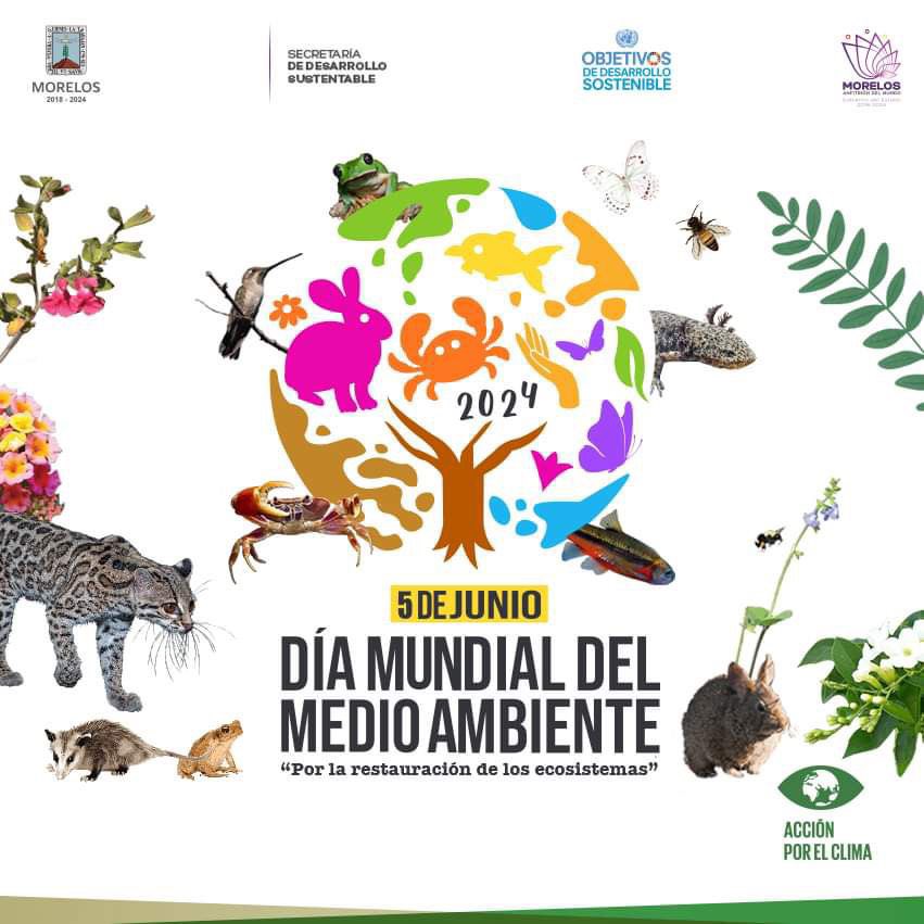 SDS_Morelos's tweet photo. #Efeméride
🌍 Este 5 de junio conmemoramos el Día Mundial del Medio Ambiente. https://t.co/m7zSWdJmxD