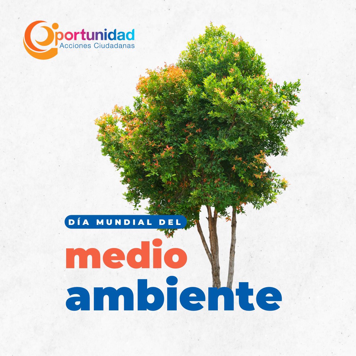 OportunidadAC's tweet photo. 5 de Junio, Día Mundial del Medio Ambiente🌳

Un día que promueve la paz
al generar conciencia sobre la importancia de cuidar nuestro entorno natural, fomentando la cooperación y el respeto entre comunidades🤝

#Jun5
#OportunidadVerde
#NosMueveLaPaz
#SomosOportunidadAC https://t.co/ljlPPIXTti