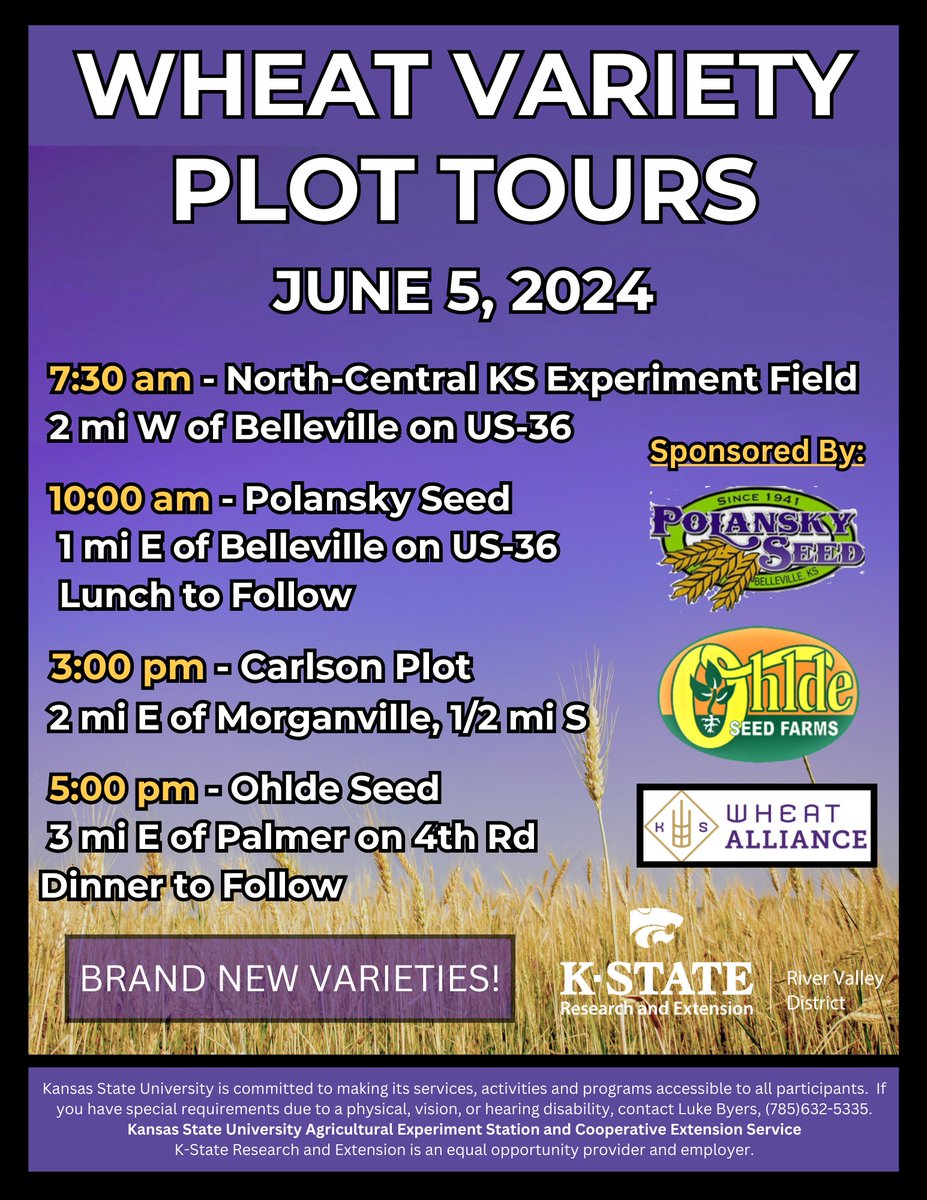 KSUNCKEF's tweet photo. Beautiful morning for a wheat tour at Belleville! We will be starting at the Polansky Seed plot location in a few minutes. https://t.co/WdTg1isRL0