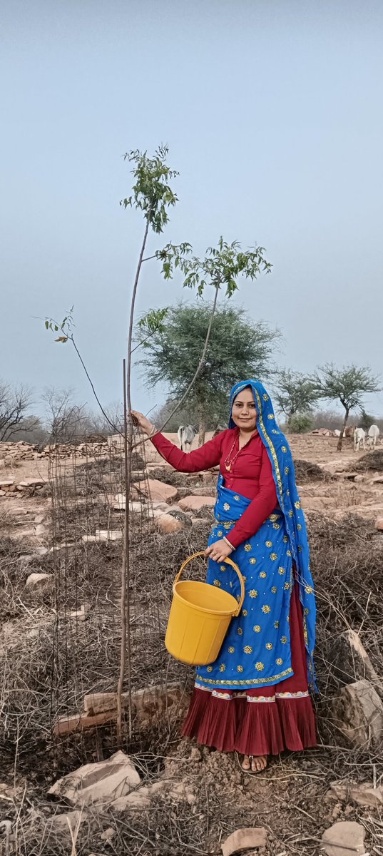 LaliMeena7's tweet photo. सभी देश वासियों को विश्व पर्यावरण दिव��� की हार्दिक शुभकामनाएं,,save trees, save life https://t.co/7V4zW8pDaA