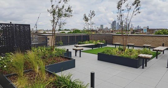 Our latest site visit revealed an incredible transformation: Ecole, a stunning development for Higgins Homes this beautiful community offers 56 modern homes, with the central courtyard nearing completion.
#ACA #ACAStudios #Ecole #HigginsHomes #HigginsConstruction #NewHomes