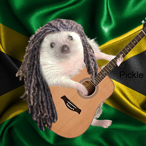 @slingoor im hearing, jammin $pickle