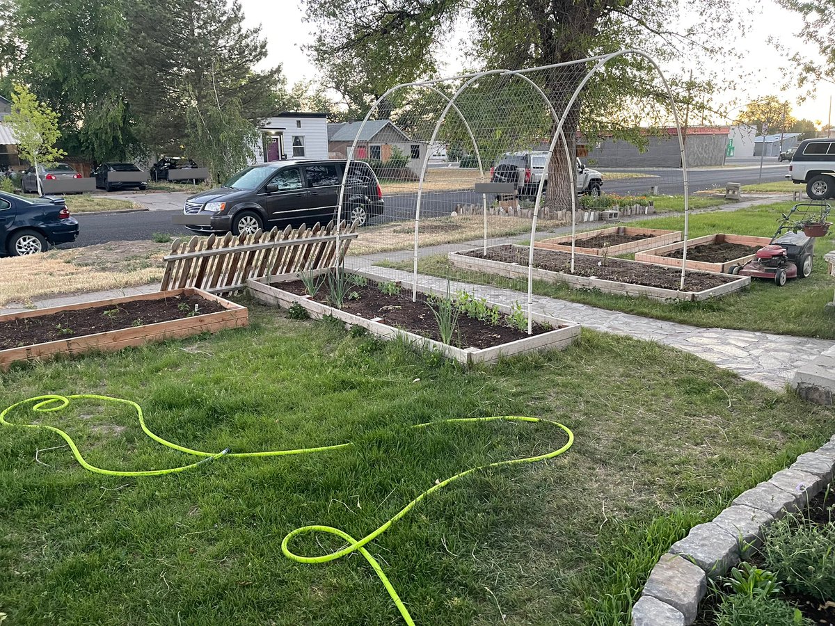 It’s time to get excited about gardens again! Show off those plant babies! 

We are growing lots of different tomatoes, onions, garlic, peppers of all kinds (including super hots like reapers and ghosties) artichokes, squash, peas, beans, flowers and lots more!