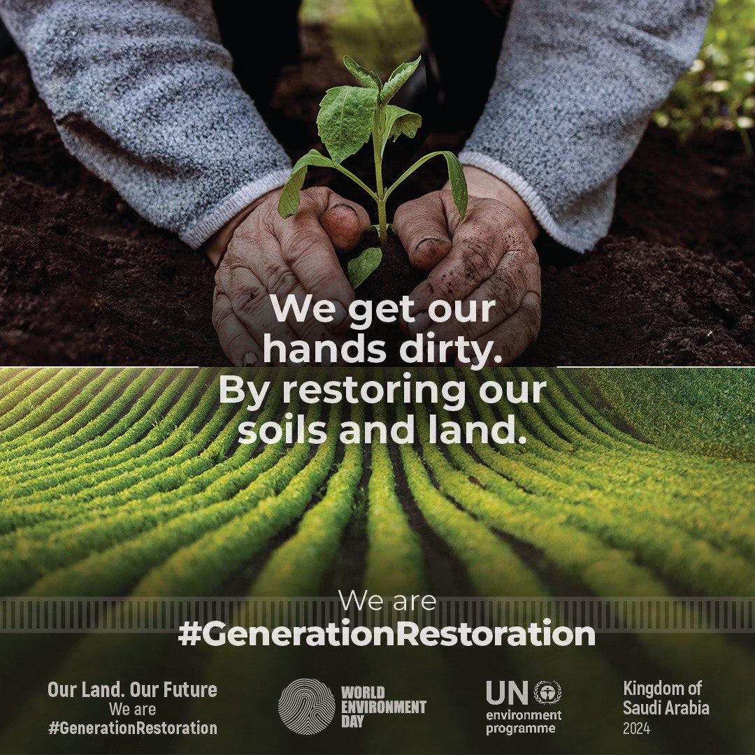 greenfingerprnt's tweet photo. #generationrestoration #saudiarabia #2024 #worlds_environmental_day #green_fingerprint #gfpet https://t.co/K9MxLSVNds