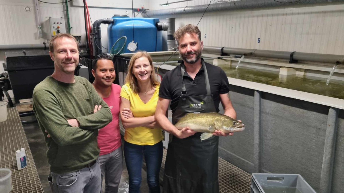 Time for another update! 

We’re thrilled to announce that our team has received another project from <a href="/NCN_PL/">Narodowe Centrum Nauki</a>, led by <a href="/JoannaNynca/">Joanna Nynca</a> !

The project will be implemented together with "pikeperch dream team" of @InagroBeitem :)

More details here:

linkedin.com/posts/daniel-%…