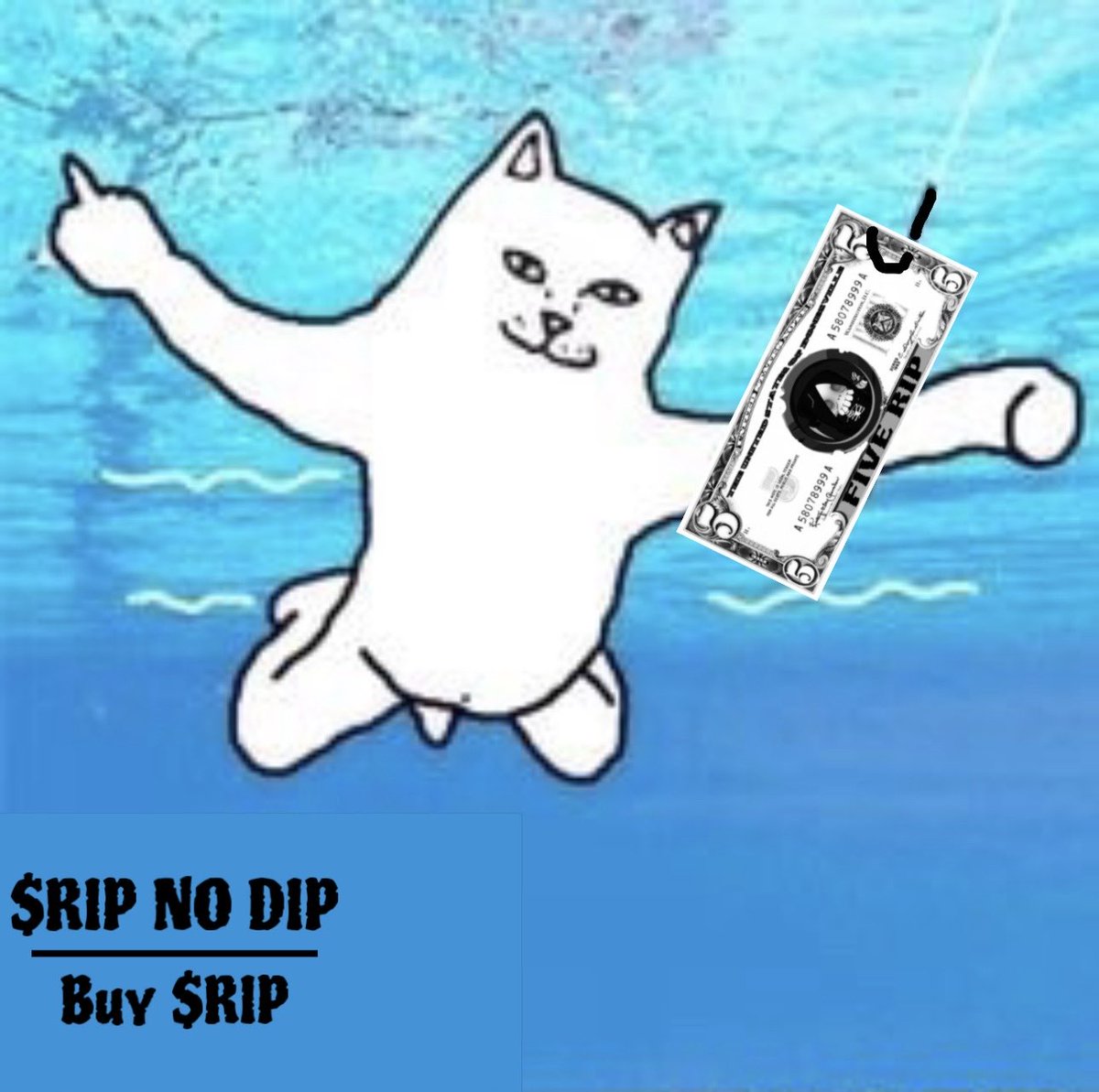 The_Sponge_777's tweet photo. @skullrippedhood https://t.co/OZKykYxylM