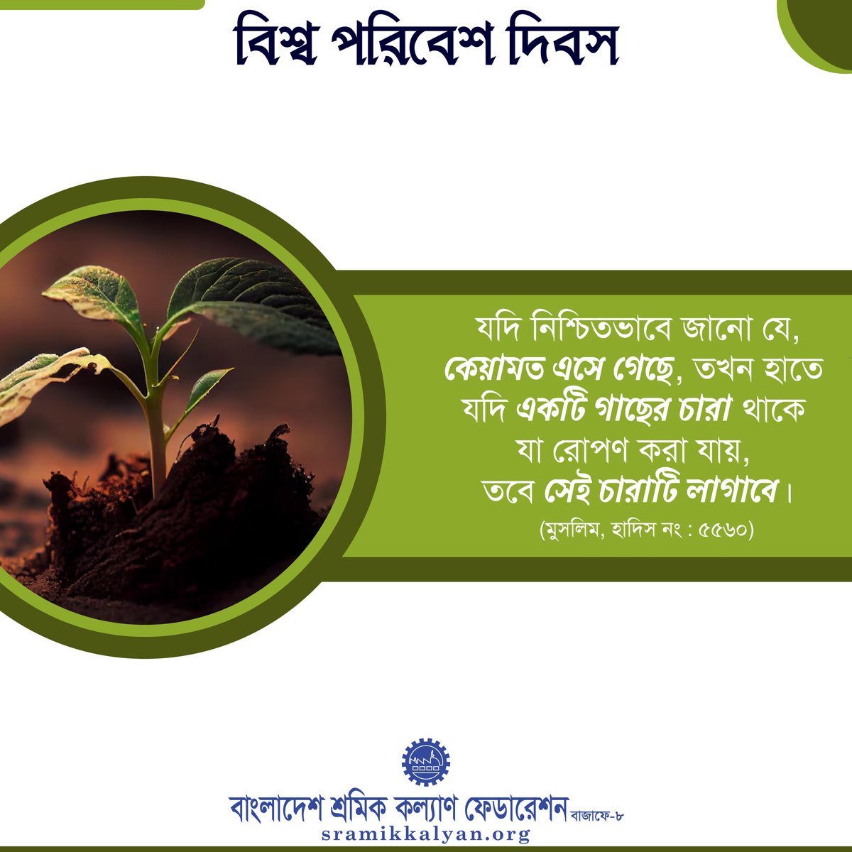 sramikkalyan's tweet photo. ‘যদি নিশ্চিতভাবে জানো যে, কেয়ামত এসে গেছে, তখন হাতে যদি একটি গাছের চারা থাকে যা রোপণ করা যায়, তবে সেই চারাটি লাগাবে।’ (মুসলিম, হাদিস নং : ৫৫৬০)

#worldenvironmentday
#Sramikkalyanbd https://t.co/cN4rzNvDOx