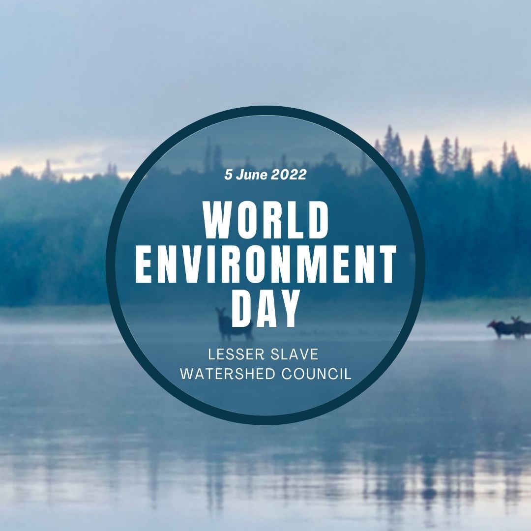 abLSWC's tweet photo. Happy World Environment Day!
#abwater #environment #worlddayof #environmentday #celebratethegreatoutdoors https://t.co/oSUxdlRVdu